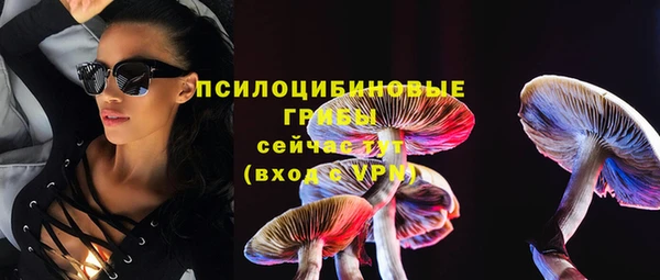 амф Абдулино