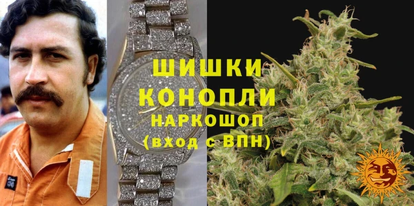 шишки Абинск