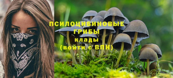амф Абдулино