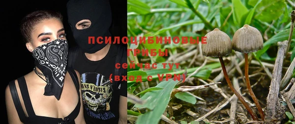 шишки Абинск