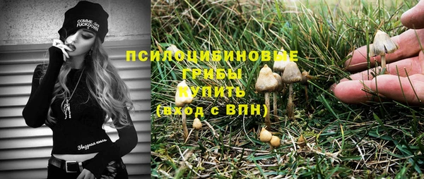 амф Абдулино