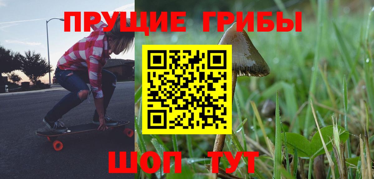 Старая Купавна  Галлюциногенные грибы мицелий  Галлюциногенные грибы Psilocybe  Вход с VPN 