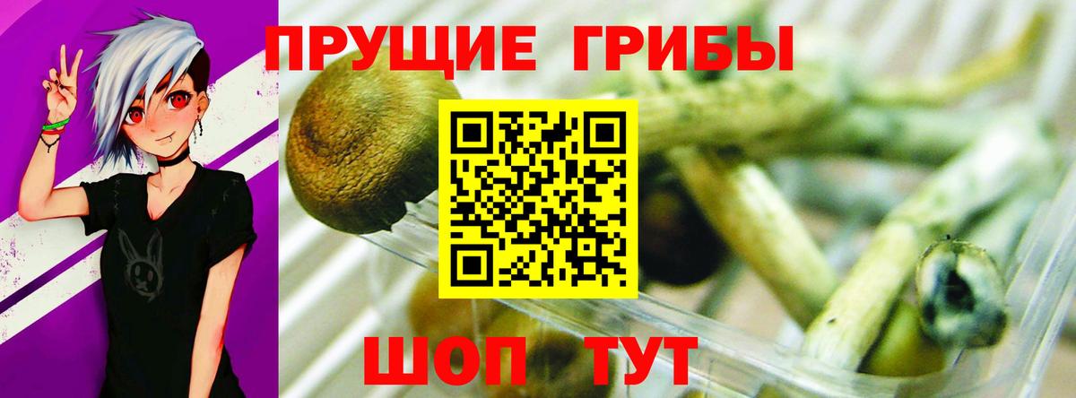 Alpha PVP СК кристаллы  Марихуана  ГАШИШ  Марихуана  ГАШИШ  Вход с VPN  Старая Купавна  Мефедрон  